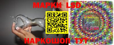 сатива Кингисепп