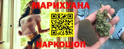 сатива Кингисепп