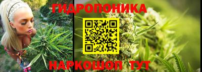 сатива Кингисепп