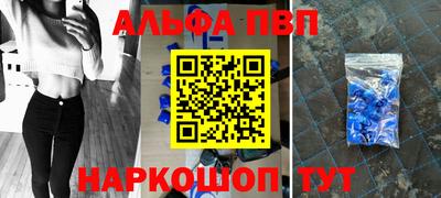 сатива Кингисепп